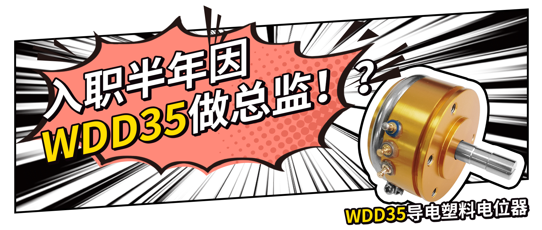 入職半年因WDD35做總監(jiān)？！