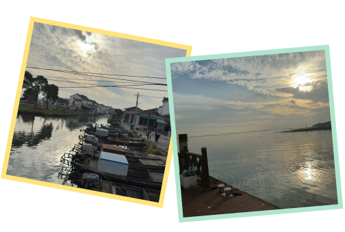 畫(huà)板 11.png 畫(huà)板 11.png